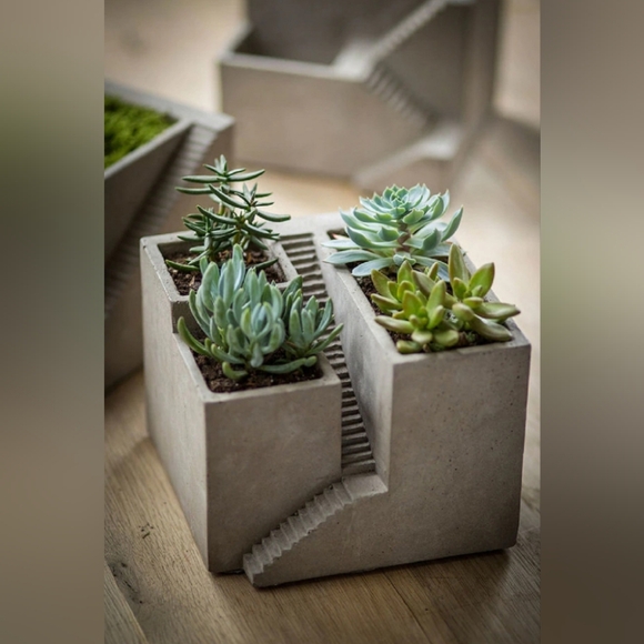 Modern Concrete Succulent Planter - Picture 1 of 3